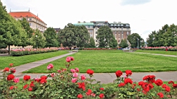 2016-06-13--04905.JPG