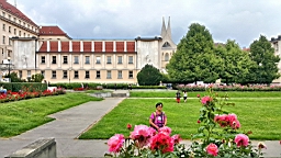 20160613_123117.jpg