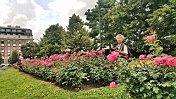 20160613_123238.jpg