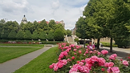 20160613_124747.jpg