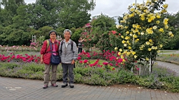 20160614_092306.jpg