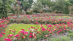 20160614_092321.jpg