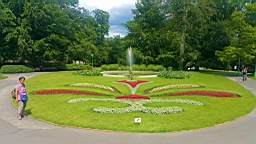 20160614_150622.jpg