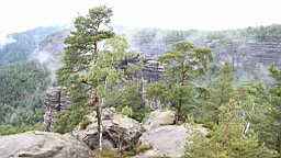 2016-06-15--05307.JPG
