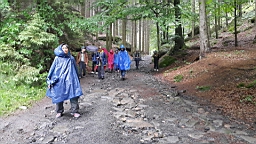 20160615_122330.jpg