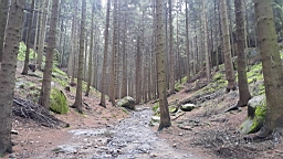 20160615_123702.jpg