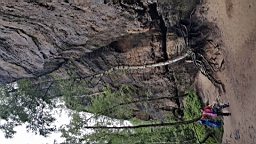 20160615_125157.jpg