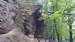 20160615_130603.jpg