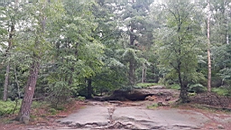20160615_131035.jpg
