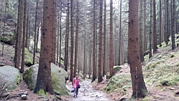 20160615_153232.jpg