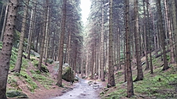 20160615_153243.jpg