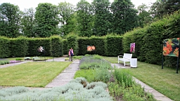 2016-06-16--05446.JPG