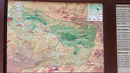 20160616_104139.jpg