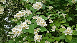20160616_155510.jpg
