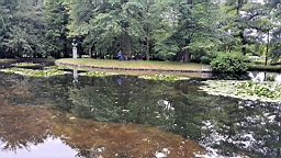 20160616_163206.jpg
