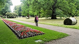 20160616_164126.jpg