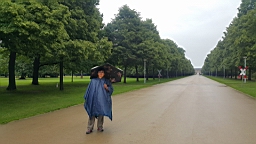 20160617_120034.jpg