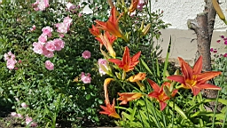 20160618_092823.jpg