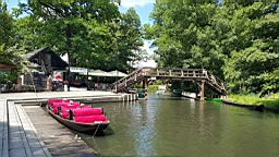 20160618_133124.jpg