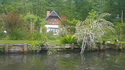 20160618_171208.jpg
