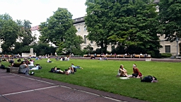 20160620_144959.jpg