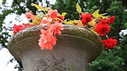 2016-06-21--05900.JPG
