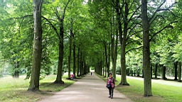 20160621_135123.jpg