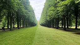 20160621_135152.jpg