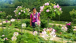 20160621_155157.jpg