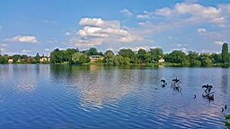20160621_175401.jpg