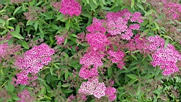20160622_135619.jpg