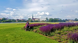 20160622_174128.jpg
