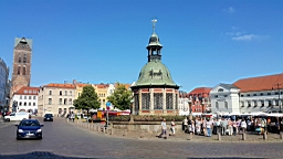 20160623_094017.jpg