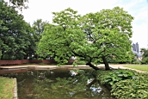 2016-06-24--06210.JPG