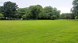 20160624_102329.jpg