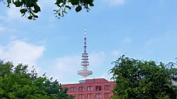 20160624_133215.jpg