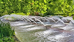 20160624_142625.jpg