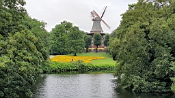 20160625_121407.jpg