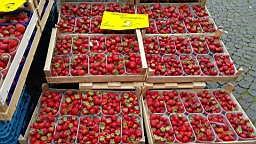 20160625_130009.jpg