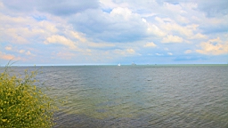 2016-06-26--06298.JPG