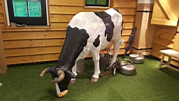 20160626_152626.jpg