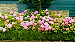 20160627_120557.jpg