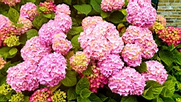 20160627_120617.jpg