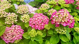 20160627_120651.jpg