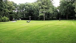2016-06-28--06498.JPG