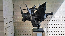 20160628_110451.jpg
