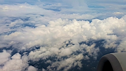 20160630_090552.jpg