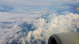 20160630_090657.jpg