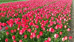 20170419_135521.jpg