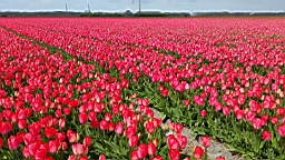 20170419_135530.jpg